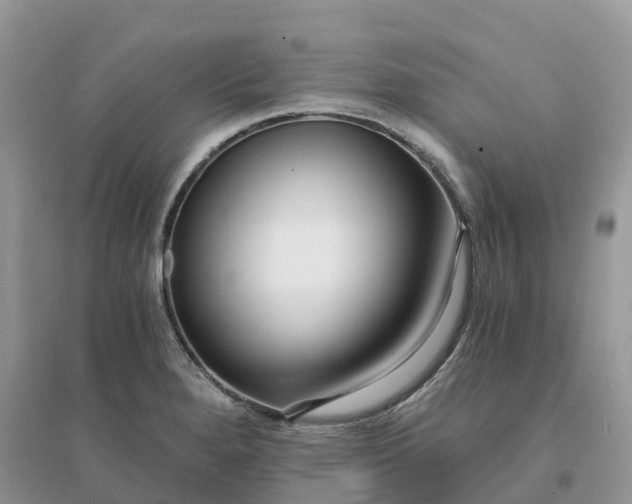 X0000096181280200802011333