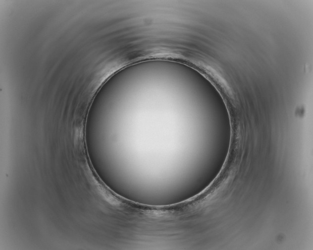 X0000096181281200802011333
