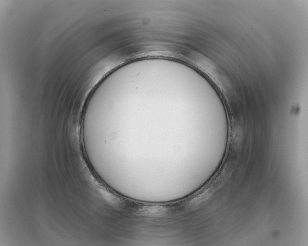 X0000096181282200802011333