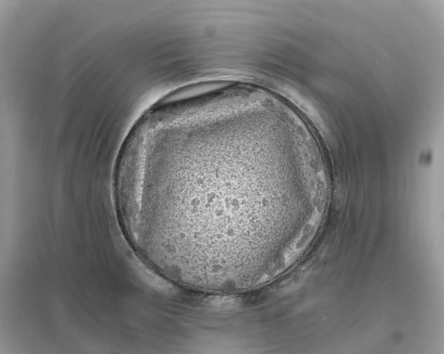 X0000096181283200802011333