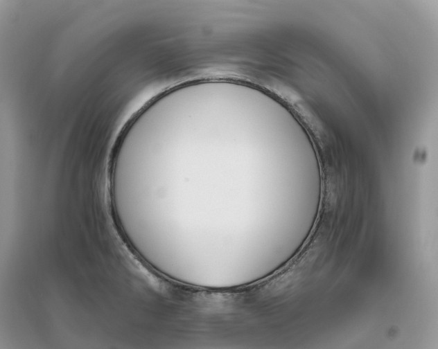 X0000096181286200802011333