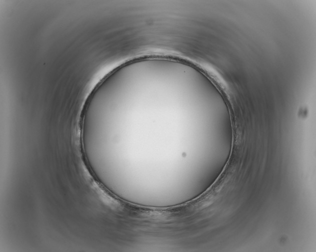 X0000096181287200802011333