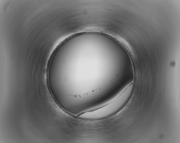 X0000096181288200802011333