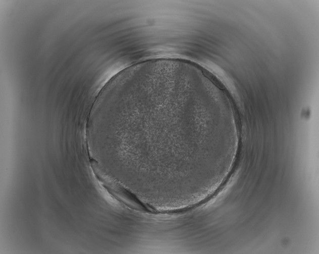 X0000096181289200802011333