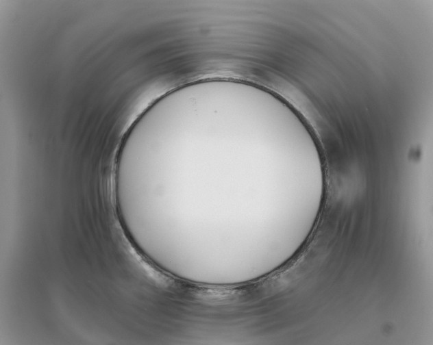 X0000096181290200802011333