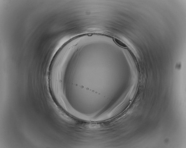 X0000096181291200802011333