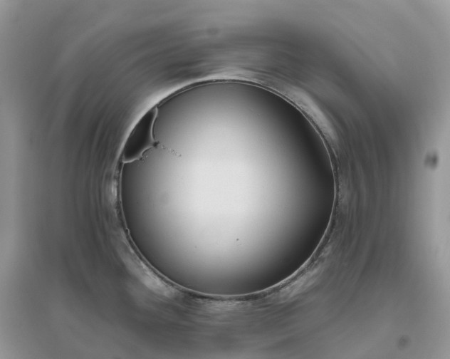 X0000096181292200802011333