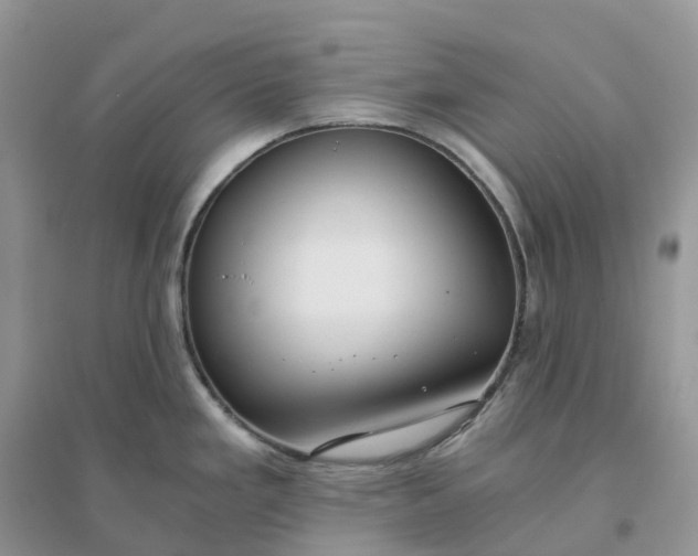 X0000096181293200802011333
