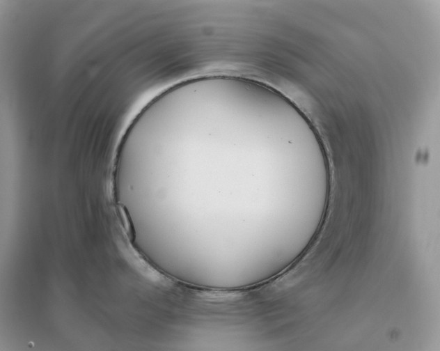 X0000096181296200802011333