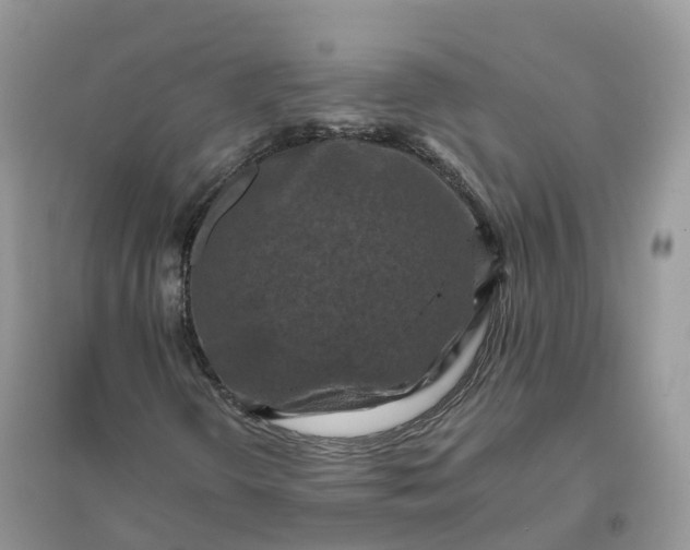 X0000096181298200802011332