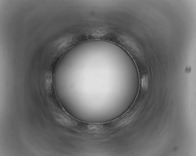 X0000096181299200802011333