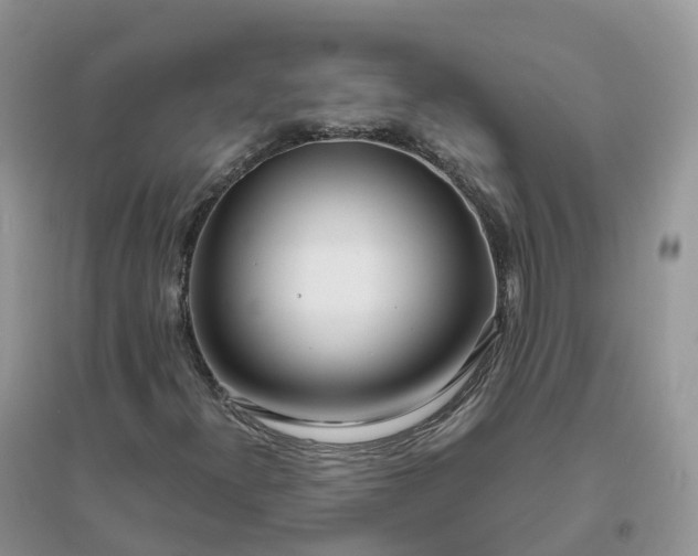 X0000096181300200802011333