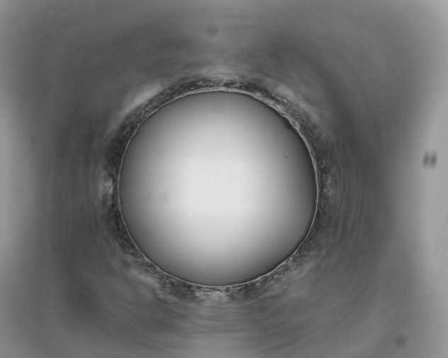 X0000096181302200802011333