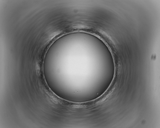 X0000096181305200802011333