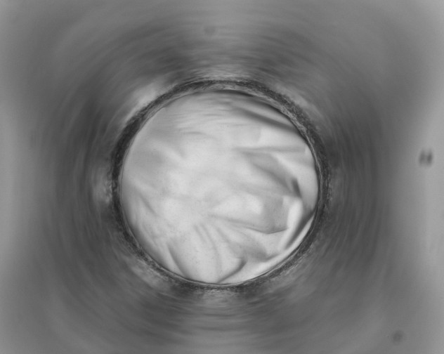 X0000096181306200802011333