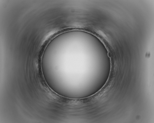 X0000096181307200802011333