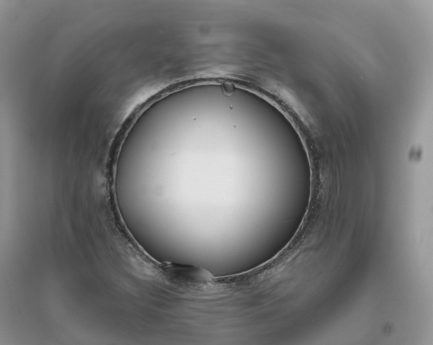 X0000096181308200802011333