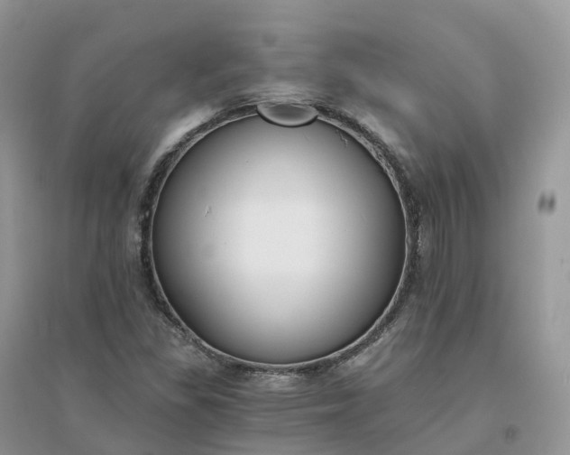 X0000096181309200802011333
