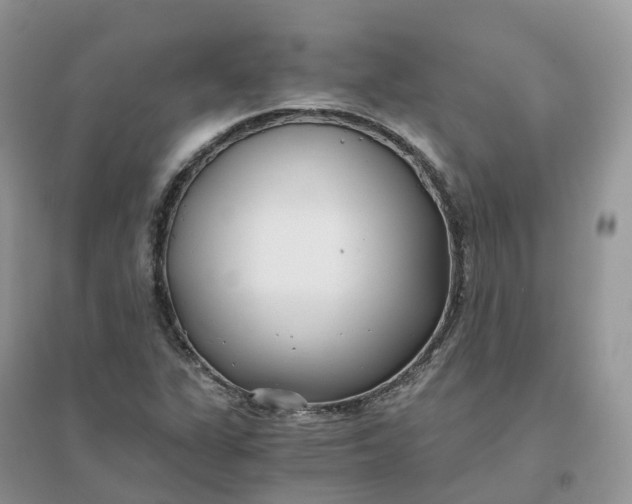 X0000096181311200802011333