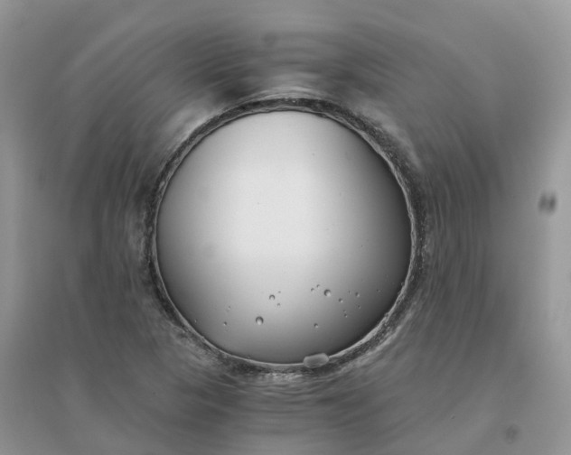 X0000096181313200802011333