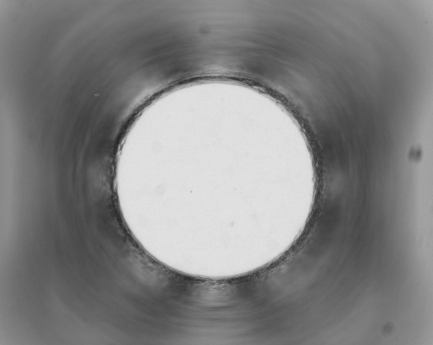 X0000096181314200802011333