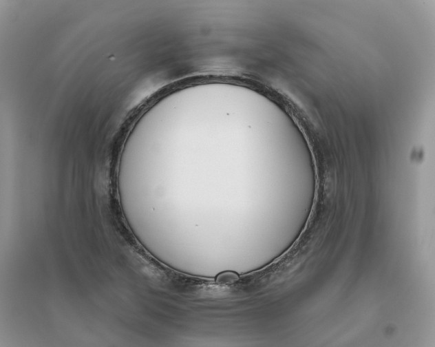 X0000096181315200802011333
