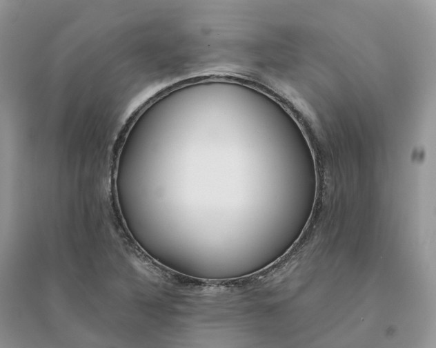 X0000096181316200802011333
