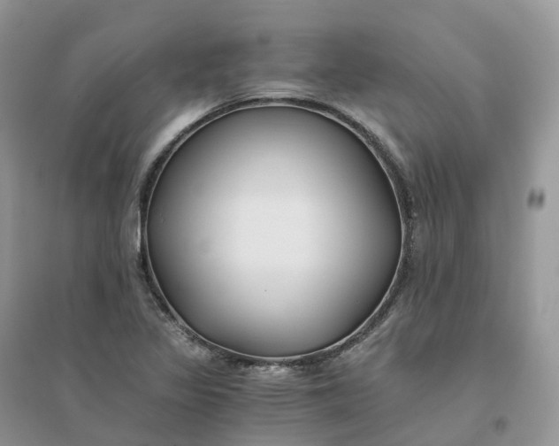 X0000096181317200802011333