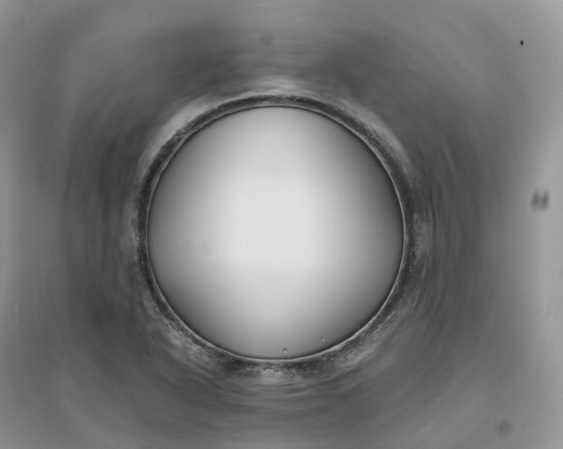 X0000096181318200802011333