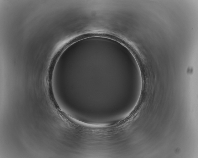 X0000096181319200802011333