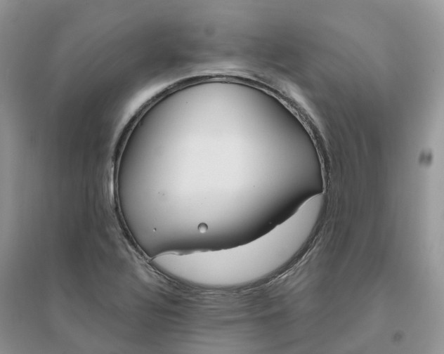 X0000096181320200802011333