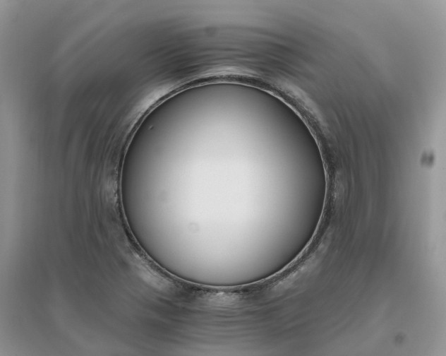 X0000096181321200802011333