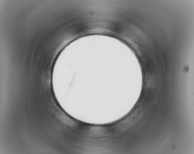 X0000096181322200802011333
