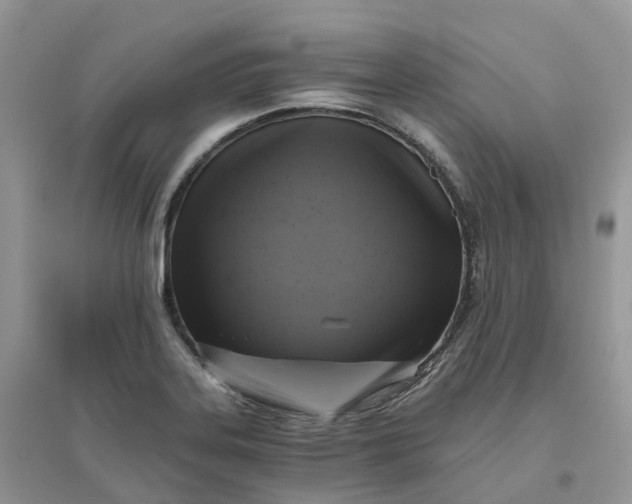X0000096181323200802011333