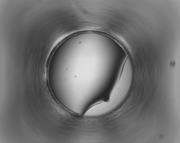 X0000096181324200802011333
