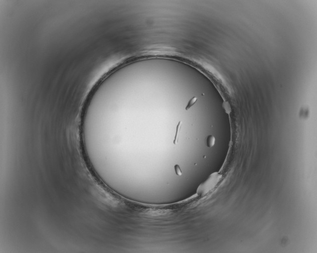 X0000096181325200802011333