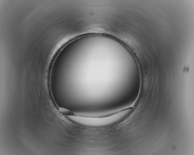 X0000096181326200802011333