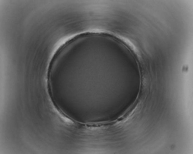 X0000096181327200802011333