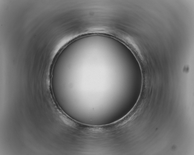X0000096181328200802011333