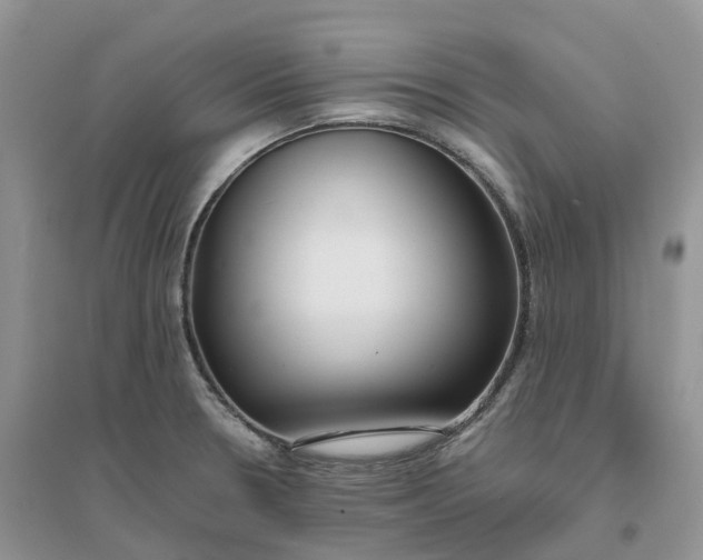 X0000096181330200802011333