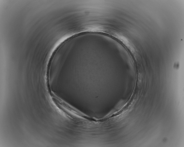 X0000096181331200802011333