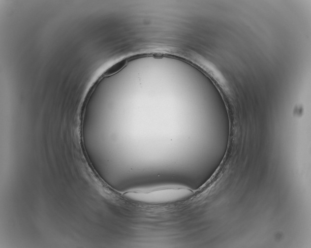 X0000096181332200802011333