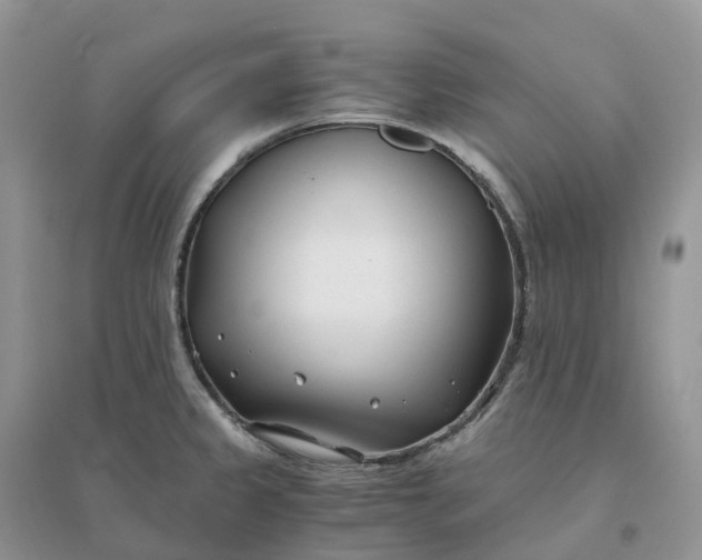 X0000096181333200802011333