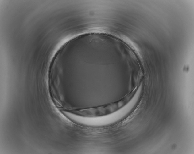 X0000096181334200802011333