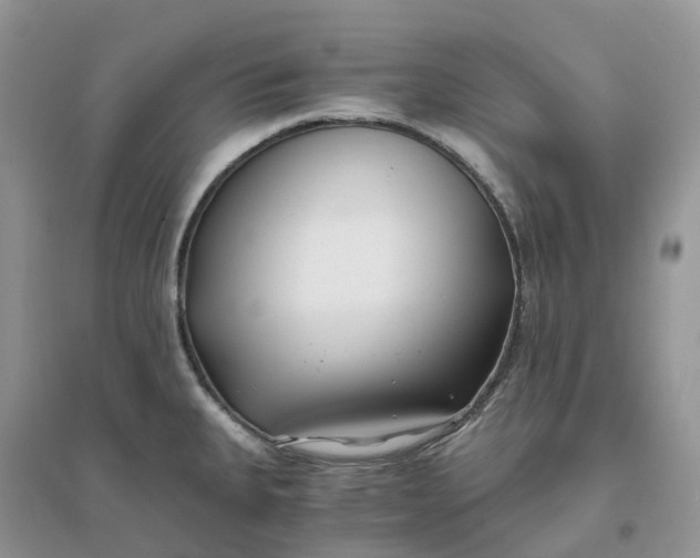 X0000096181335200802011333