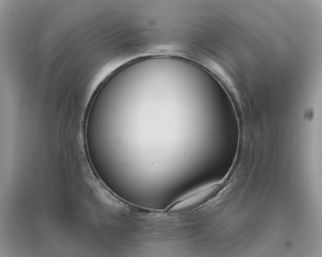X0000096181336200802011333