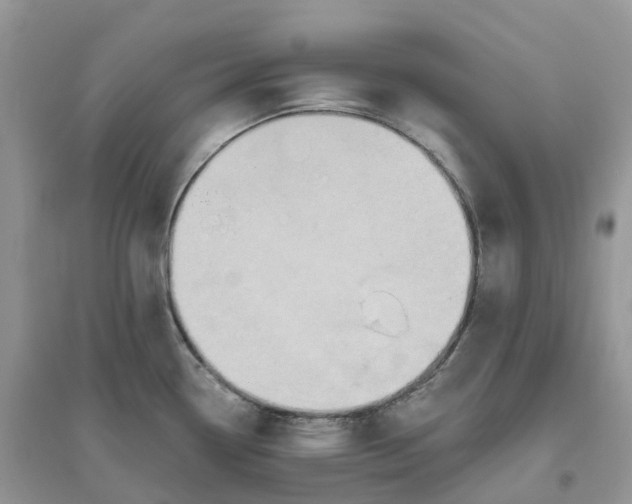 X0000096181338200802011333