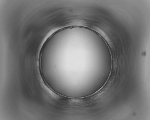 X0000096181339200802011333