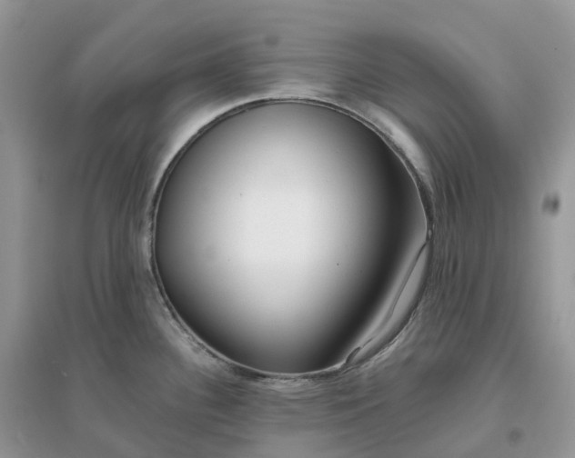 X0000096181340200802011333