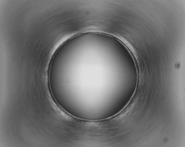 X0000096181341200802011333